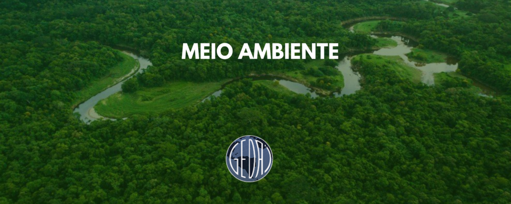 O CASO BRITISH PETROLEUM COMO PARADIGMA PARA OS DIREITOS DA NATUREZA NO MAR