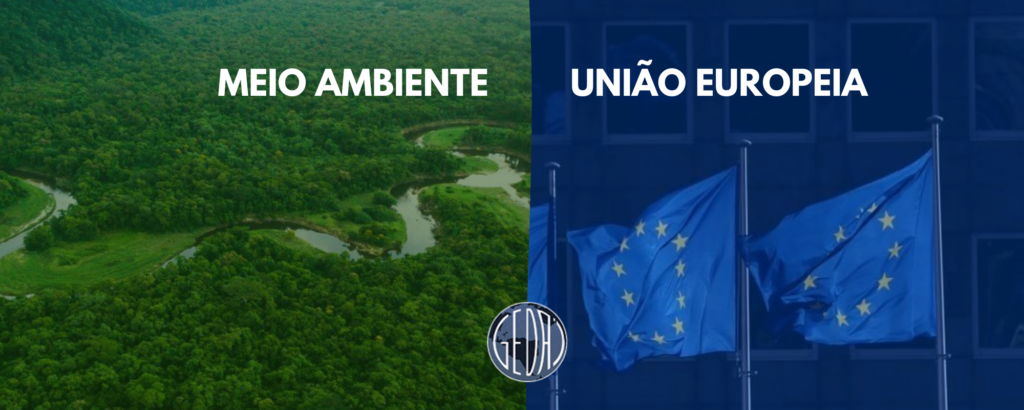 MOMENTO GEDAI – POLUIÇÃO MARINHA: O QUE É A DIRETIVA 904/2019 DA UNIÃO EUROPEIA?